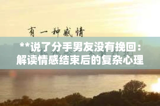 **说了分手男友没有挽回：解读情感结束后的复杂心理与现实**