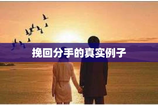 挽回分手的真实例子