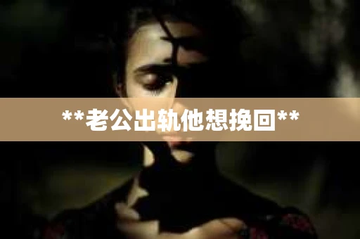 **老公出轨他想挽回**