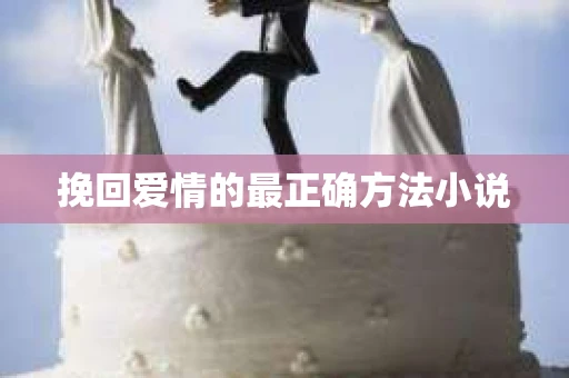 挽回爱情的最正确方法小说
