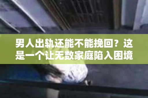 男人出轨还能不能挽回？这是一个让无数家庭陷入困境的问题。在这个问题上，我作为一名专业律师，将从法律、心理和社会等多个角度，为大家分析男人出轨后是否还有挽回的可能。
