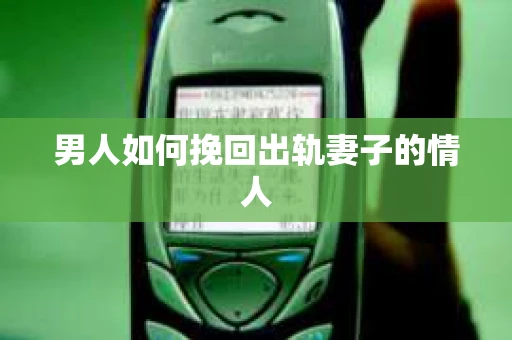 男人如何挽回出轨妻子的情人