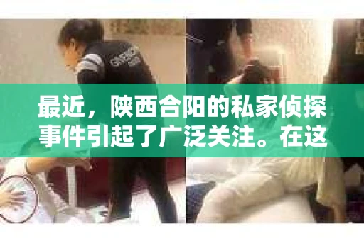 最近，陕西合阳的私家侦探事件引起了广泛关注。在这个信息爆炸的时代，隐私保护显得尤为重要。今天，我们就来聊聊这个事件，看看它背后的一些故事。