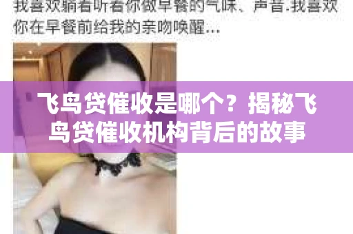飞鸟贷催收是哪个？揭秘飞鸟贷催收机构背后的故事