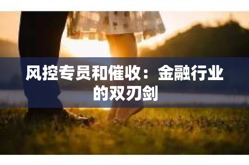 风控专员和催收：金融行业的双刃剑