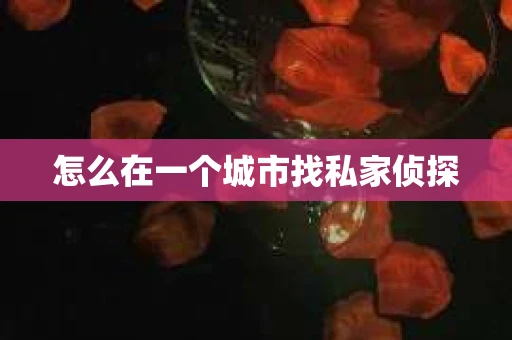 怎么在一个城市找私家侦探