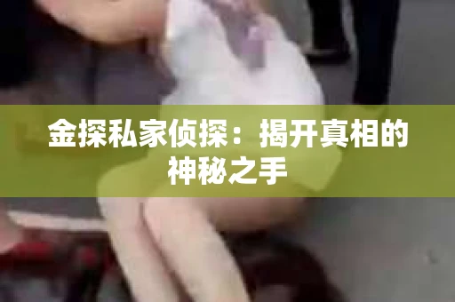金探私家侦探：揭开真相的神秘之手