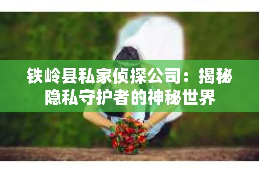 铁岭县私家侦探公司：揭秘隐私守护者的神秘世界