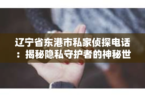 辽宁省东港市私家侦探电话：揭秘隐私守护者的神秘世界