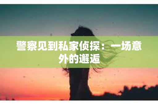 警察见到私家侦探：一场意外的邂逅