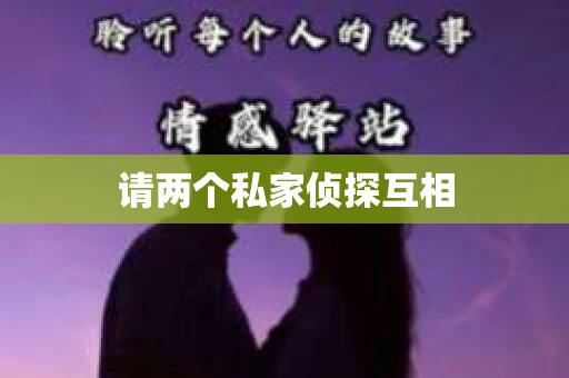 请两个私家侦探互相