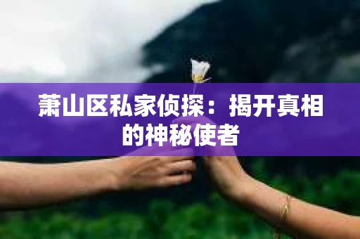 萧山区私家侦探：揭开真相的神秘使者
