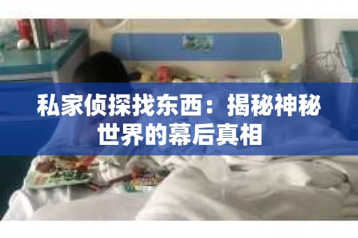 私家侦探找东西：揭秘神秘世界的幕后真相