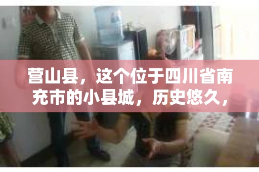 营山县，这个位于四川省南充市的小县城，历史悠久，风景秀丽。但在这个宁静的小县城里，你是否会好奇，有没有私家侦探的存在呢？今天，我就来和大家聊聊这个话题。