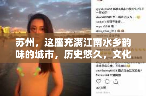 苏州，这座充满江南水乡韵味的城市，历史悠久，文化底蕴深厚。在这样一个充满故事的地方，私家侦探公司自然也不少。那么，苏州哪有私家侦探公司呢？今天，我就来给大家盘点一下。