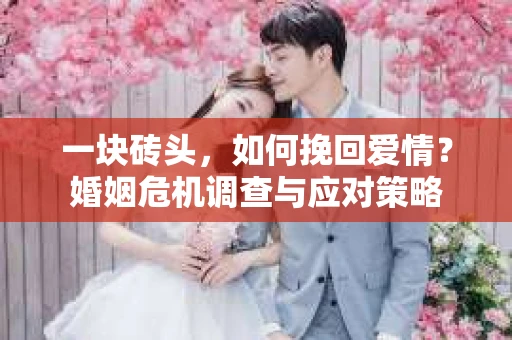 一块砖头，如何挽回爱情？婚姻危机调查与应对策略