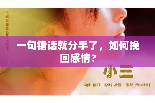 一句错话就分手了,如何挽回感情? 一句错话就分手了,如何挽回感情?
