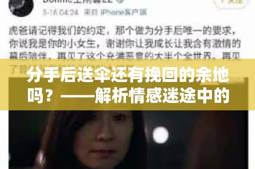 分手后送伞还有挽回的余地吗？——解析情感迷途中的决策