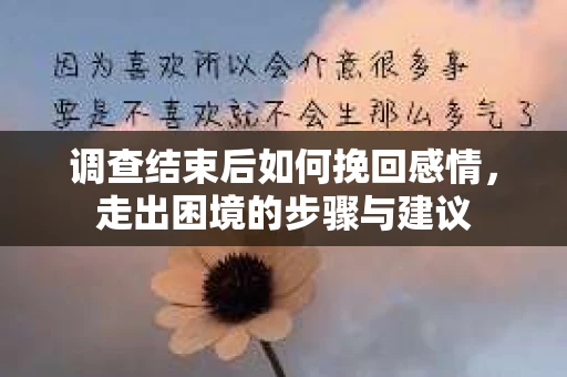 调查结束后如何挽回感情，走出困境的步骤与建议
