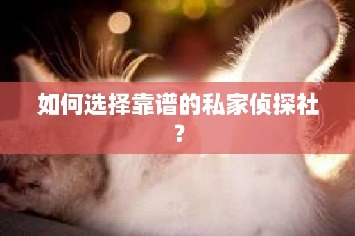 如何选择靠谱的私家侦探社? 如何选择靠谱的私家侦探社?